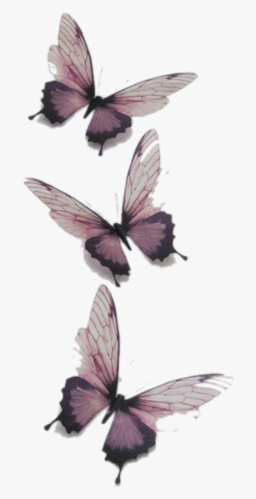 Butterfly Butterflies Vintage Transparent Tumblr Png - Transparent Butterfly, Png Download, Free Download