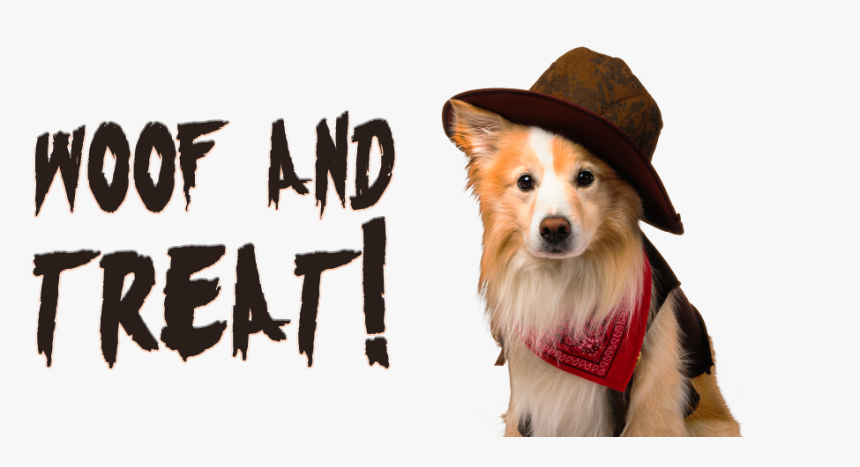 Woof And Treat - Shetland Sheepdog, HD Png Download, Free Download