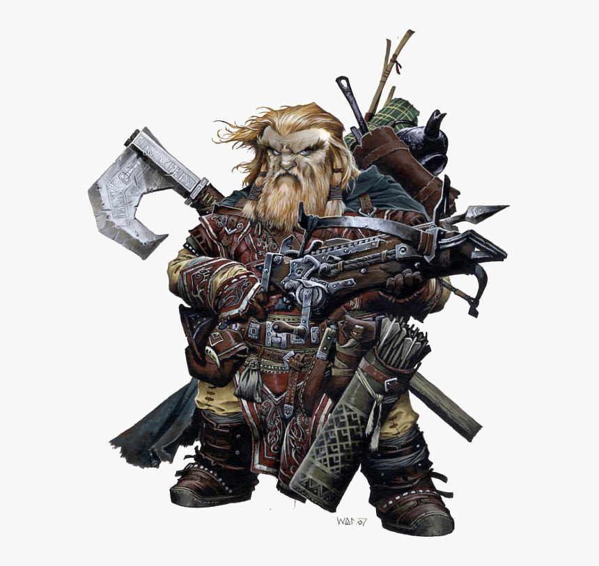 Dwarf Transparent Background Png - Pathfinder Dwarf, Png Download, Free Download