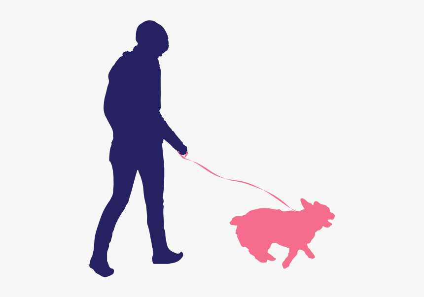 Dog Walking And Pet Feeding - Walking Dog Silhouette Png, Transparent Png, Free Download