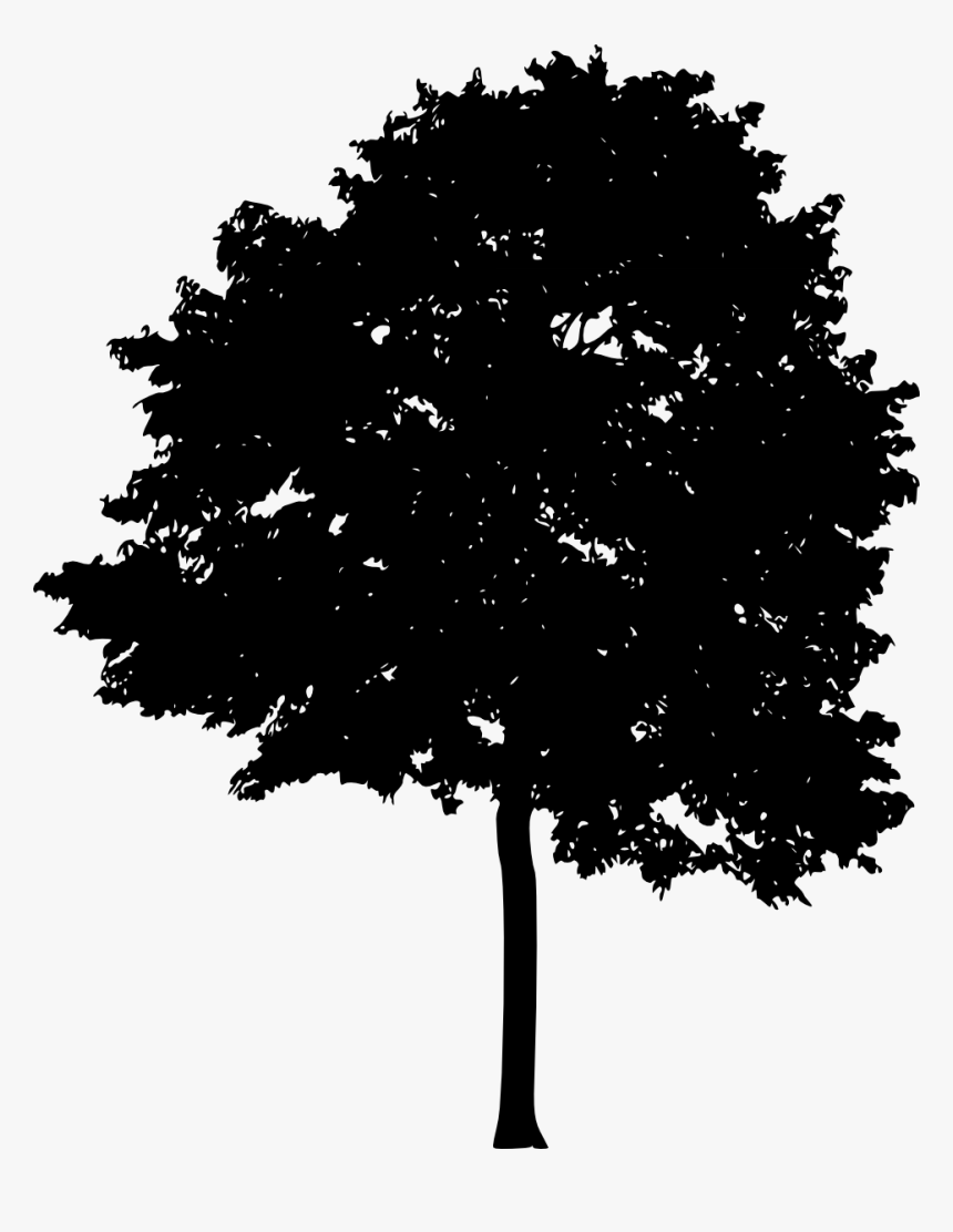 Transparent Bare Tree Png - Silueta De Arboles Png, Png Download, Free Download