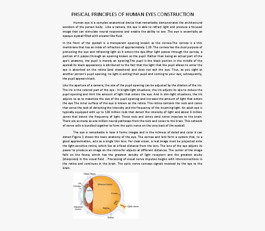 Document, HD Png Download, Free Download