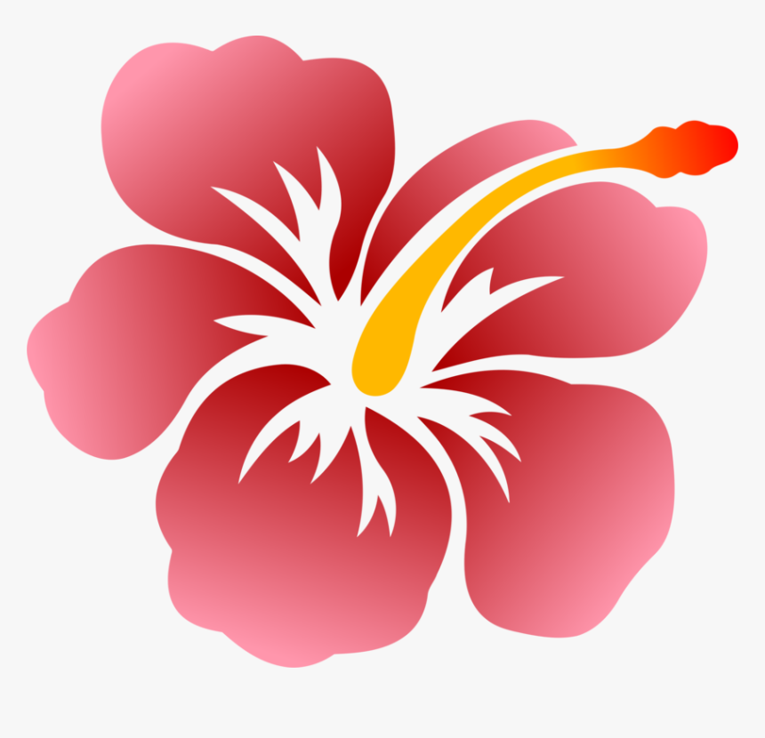 Hibiscus,plant,flower - Hibiscus Drawing, HD Png Download, Free Download
