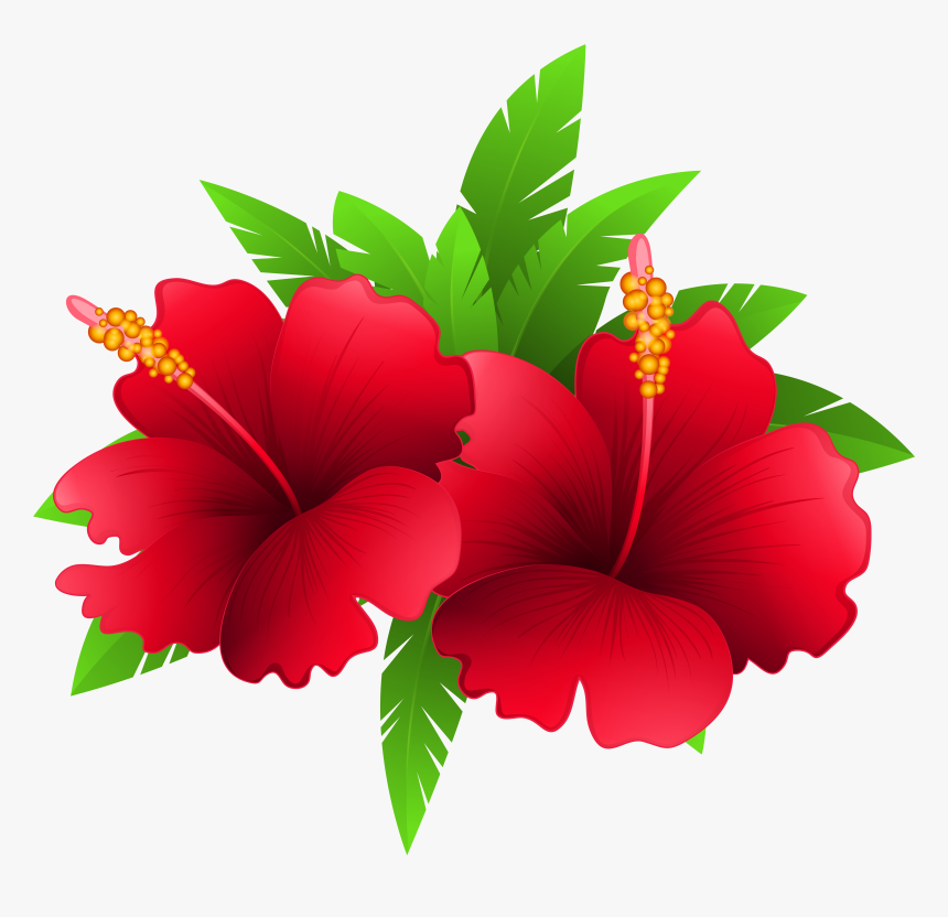 Exotic Flowers And Plant Png Clipart Image Festa Havaiana Good