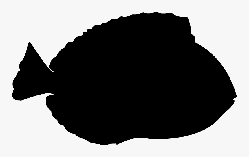 Silhouette Fish Blue Tang Clip Art - California Flounder, HD Png Download, Free Download