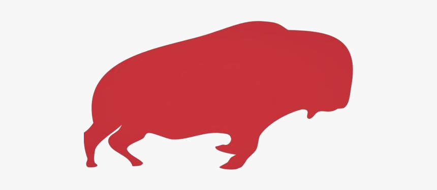 Buffalo Png - Livestock, Transparent Png, Free Download