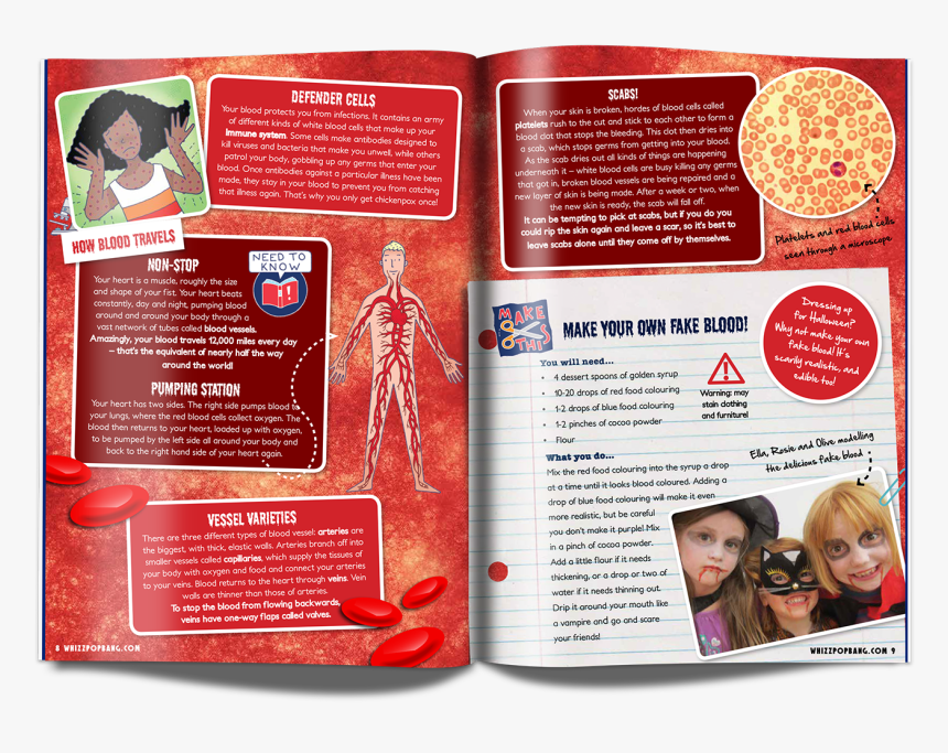 Whizz Pop Bang How To Make Fake Blood - Brochure, HD Png Download, Free Download