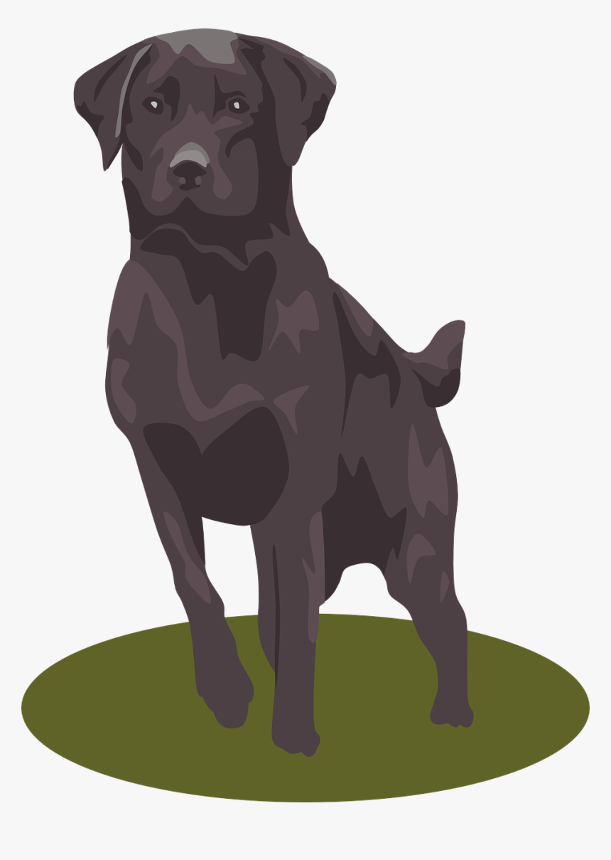 Companion Dog,borador,labrador Retriever - National Black Dog Day Oct 1, HD Png Download, Free Download