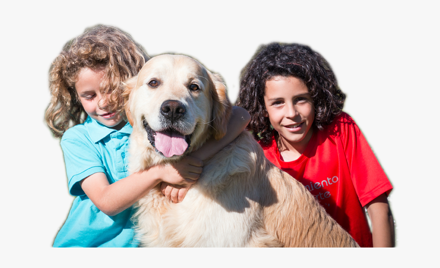 Children With Retriever Goldern - Golden Retriever Niño Png, Transparent Png, Free Download