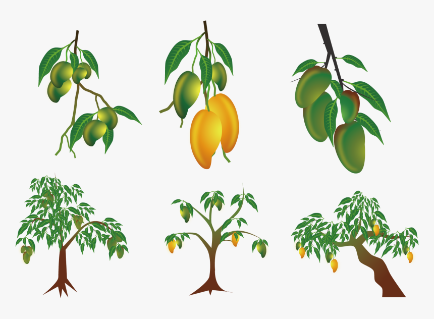 Cliparts For Free Download - Ugadi Mango Images Png, Transparent Png, Free Download