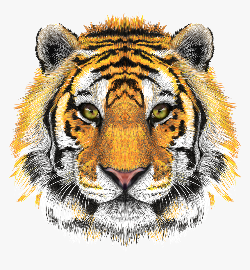 Tiger Face Png Transparent Background - Tiger Head Png, Png Download, Free Download