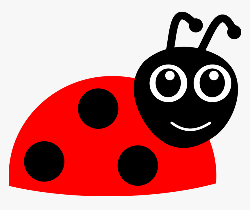 Ladybug, Beetle, Ladybird, Funny, Animal, Bug, Red - Ladybird Cartoon, HD Png Download, Free Download