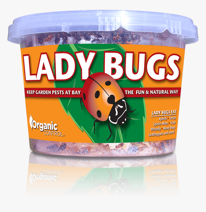 Ladybug, HD Png Download, Free Download