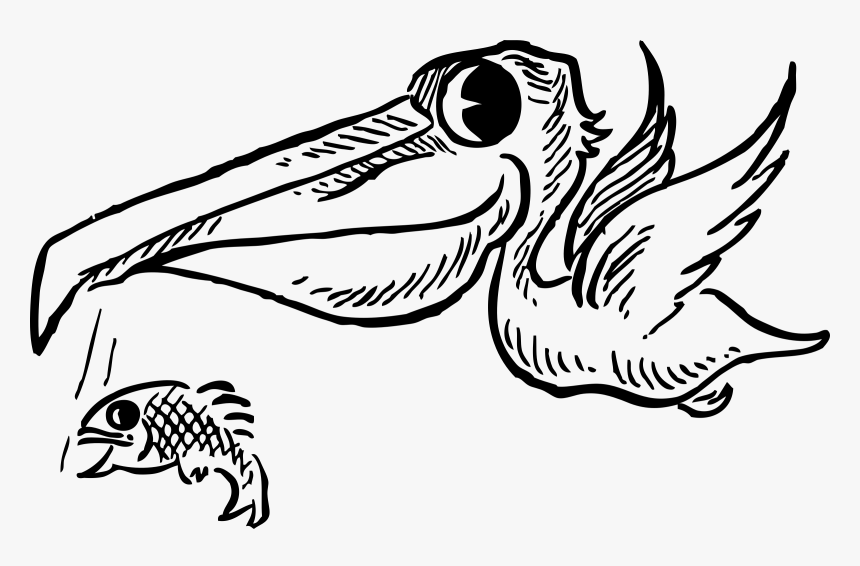 Pelican With Fish Clip Arts - Cartoon Pelican, HD Png Download, Free Download