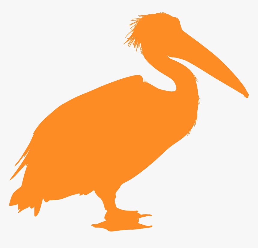 Pelican Silhouette, HD Png Download, Free Download