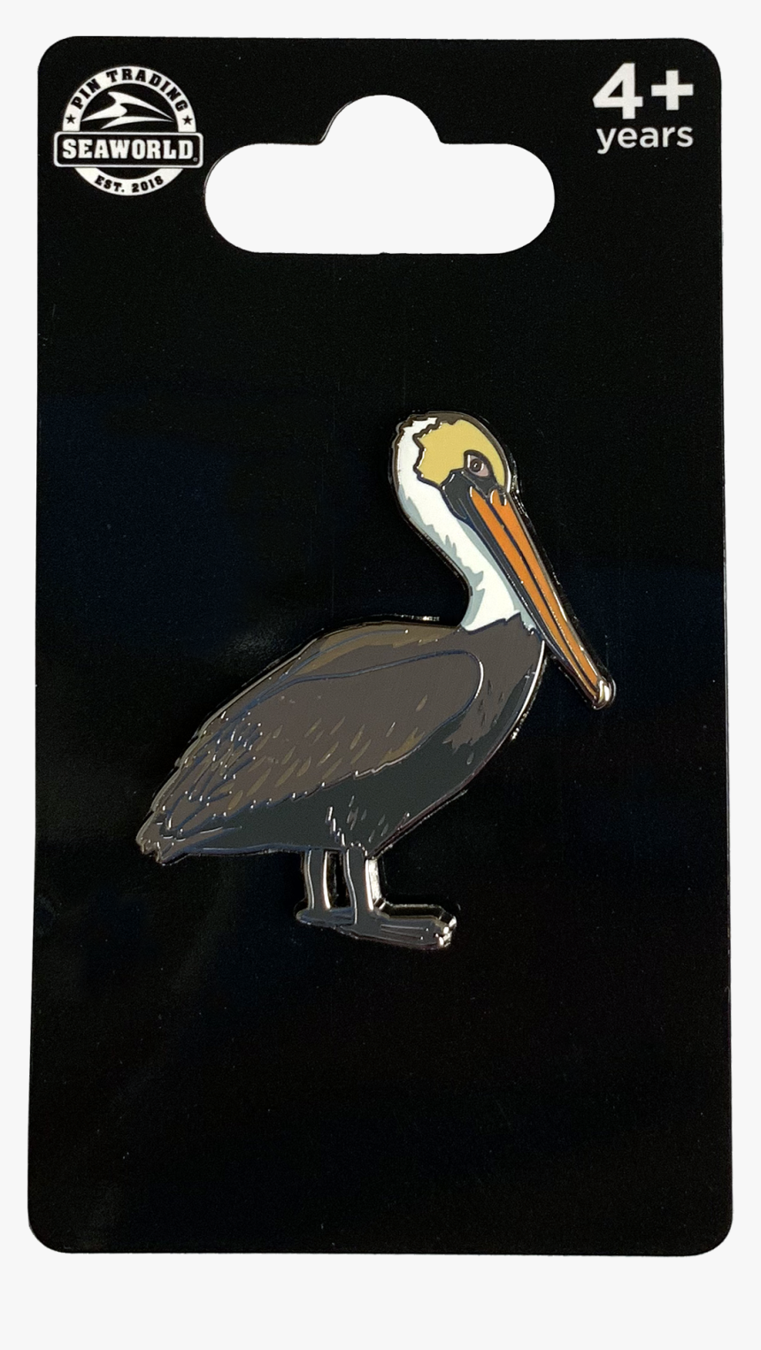 Pelican Pin"
 Class= - Brown Pelican, HD Png Download, Free Download