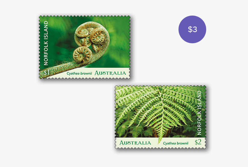 Norfolk Island Tree Fern 2019 Australia Post Sheet, HD Png Download, Free Download