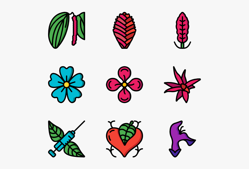 Botanicals, HD Png Download, Free Download