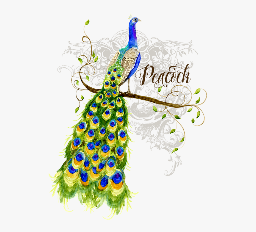 Poster Peacock Art Nouveau, HD Png Download, Free Download