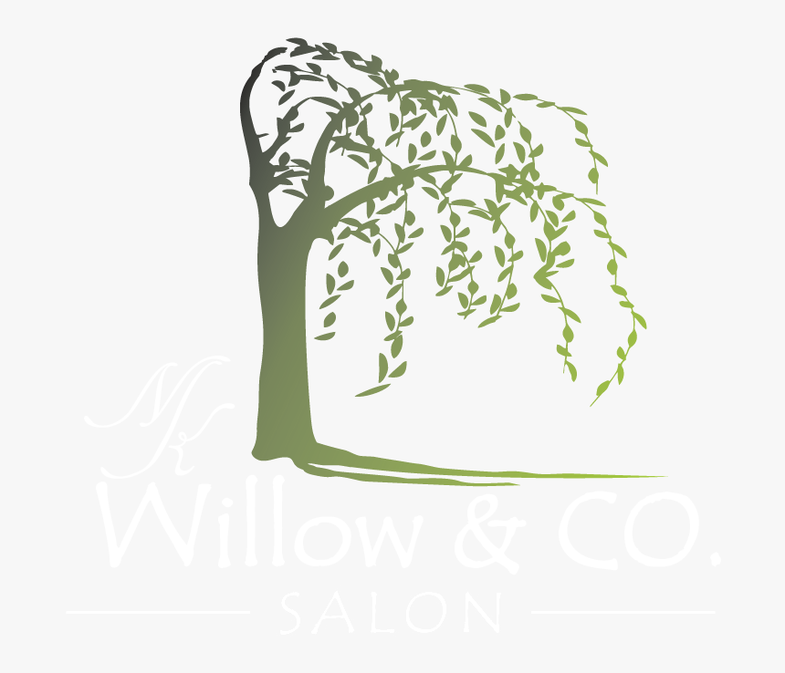 Willow And Co - Calligraphy, HD Png Download, Free Download