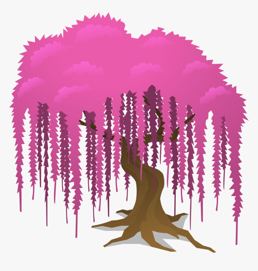 Weeping Willow Pink - Pink Weeping Willow, HD Png Download, Free Download