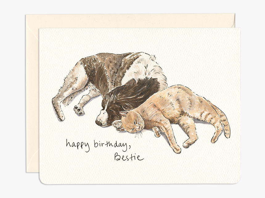 Dog & Cat Friends Greeting Card - Happy Birthday Card Dog Birthday Drawing, HD Png Download, Free Download