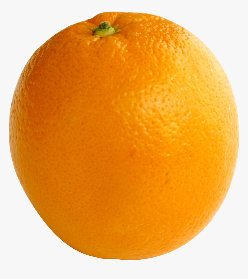 Апельсины картинка на прозрачном. Апельсин. Апельсин фрукт. Зеленый апельсин. Апельсин на белом фоне.