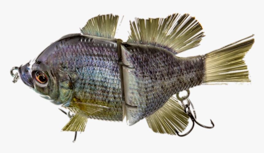 Bass, HD Png Download, Free Download