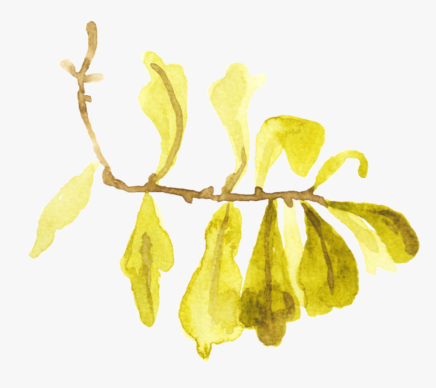 Dry Yellow Leaf Transparent Decorative - Illustration, HD Png Download, Free Download