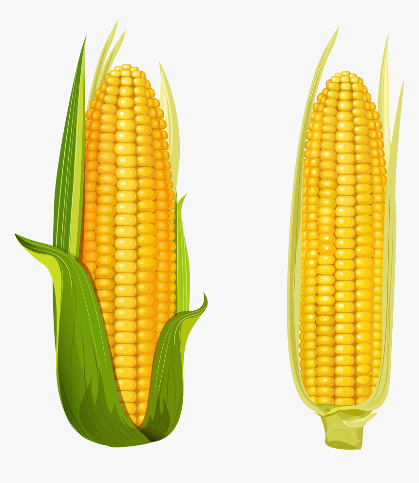 Corn Clipart Free Images Transparent Png - Corn On The Cob ...