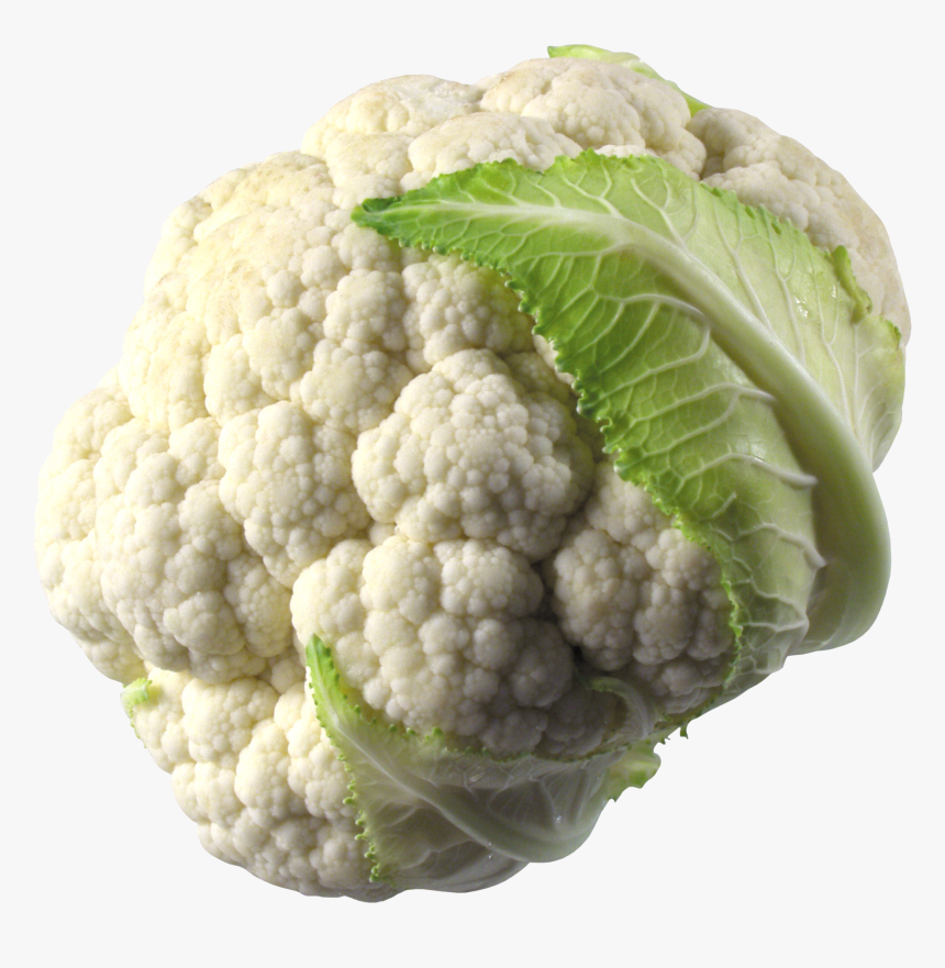 Cauliflower Png, Transparent Png, Free Download