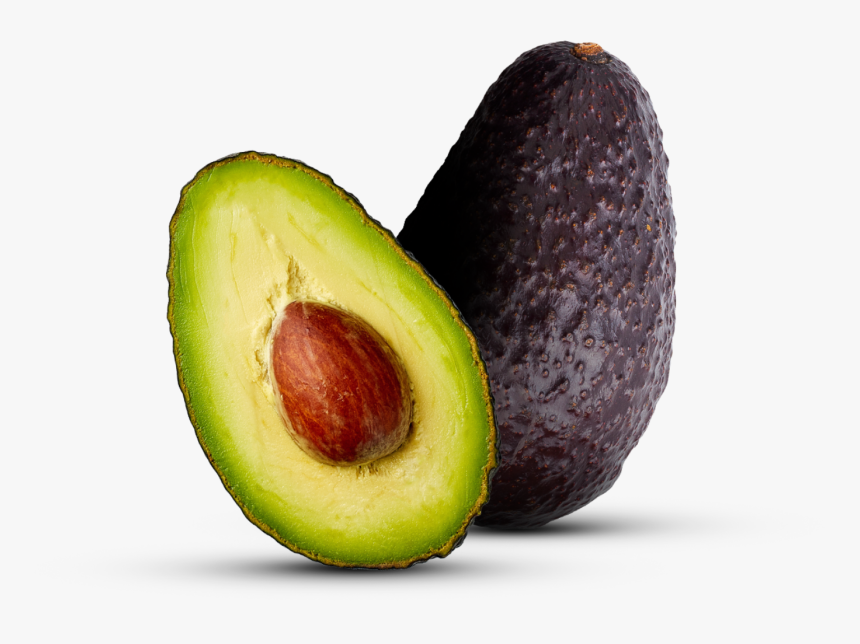 Avocado, HD Png Download, Free Download