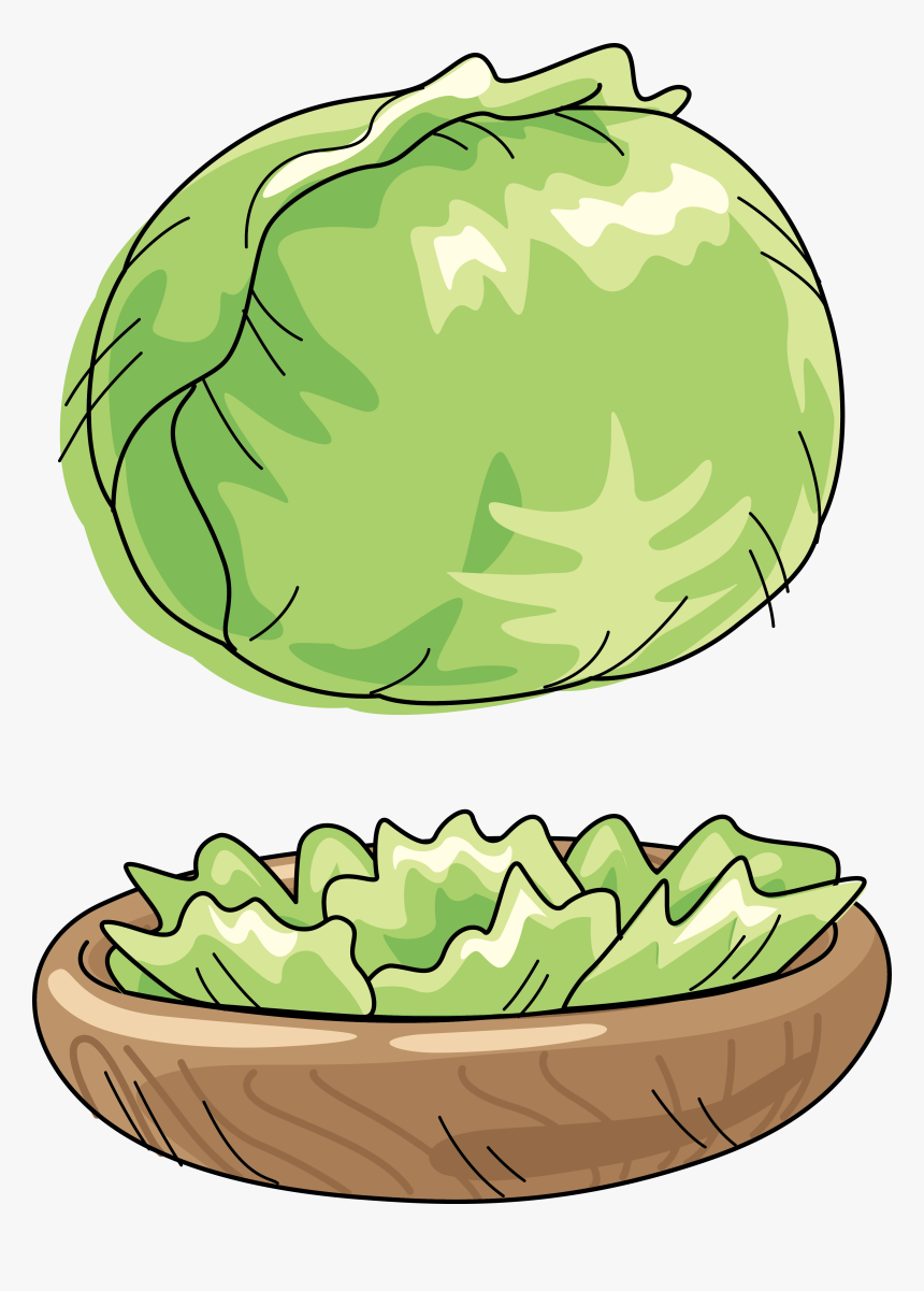 Transparent Cabbage Png, Png Download, Free Download