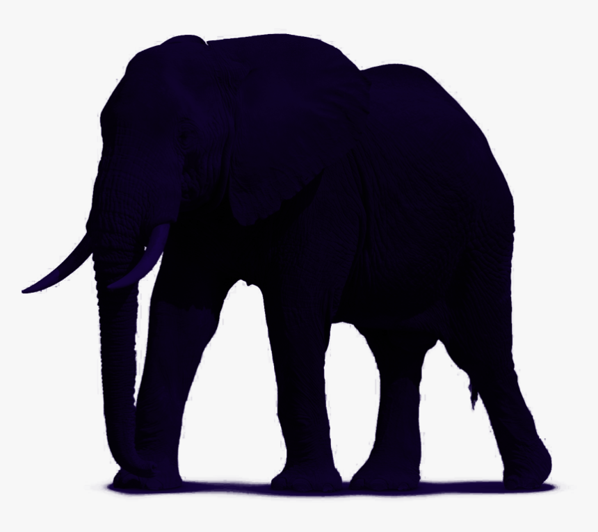 Indian Elephant, HD Png Download, Free Download