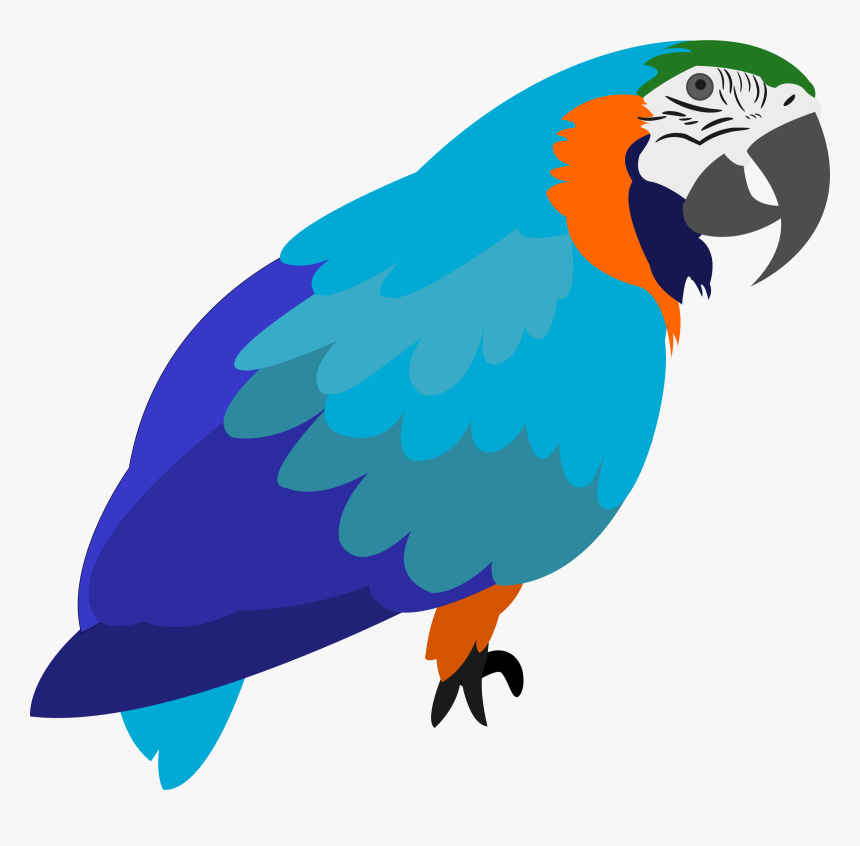 Macaw,parrot,lorikeet - Free Parrot Png Cartoon, Transparent Png, Free Download