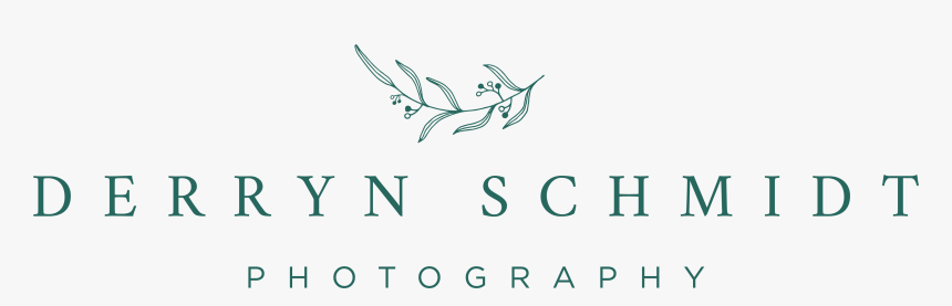 Derryn Schmidt Photography Logo - Calligraphy, HD Png Download, Free Download