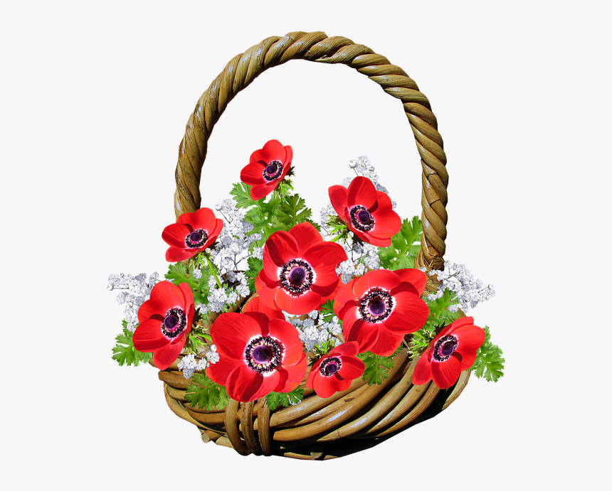 basket anemone red flowers gift png flower basket download transparent png kindpng png flower basket download transparent