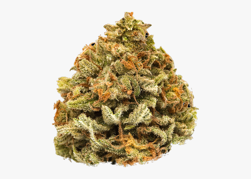 Hemp Cannabis Flower Nugs - Christmas Tree, HD Png Download, Free Download