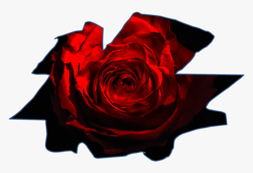 Rosa Dark, HD Png Download, Free Download