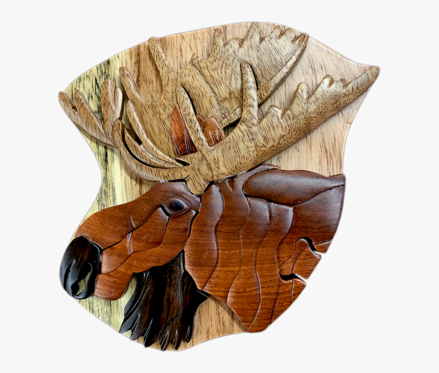 Headed Wood. Nature head PNG.