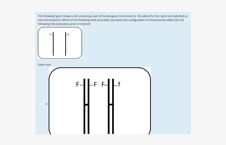 Diagram, HD Png Download, Free Download