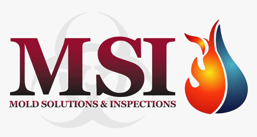 Mold Solutions & Inspections - Graphic Design, HD Png Download, Free Download