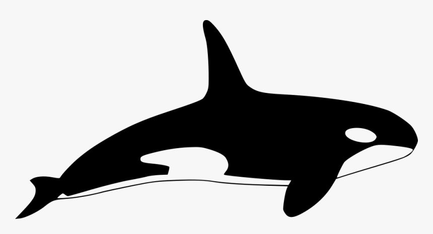 Orca - Killer Whale Icon, HD Png Download, Free Download