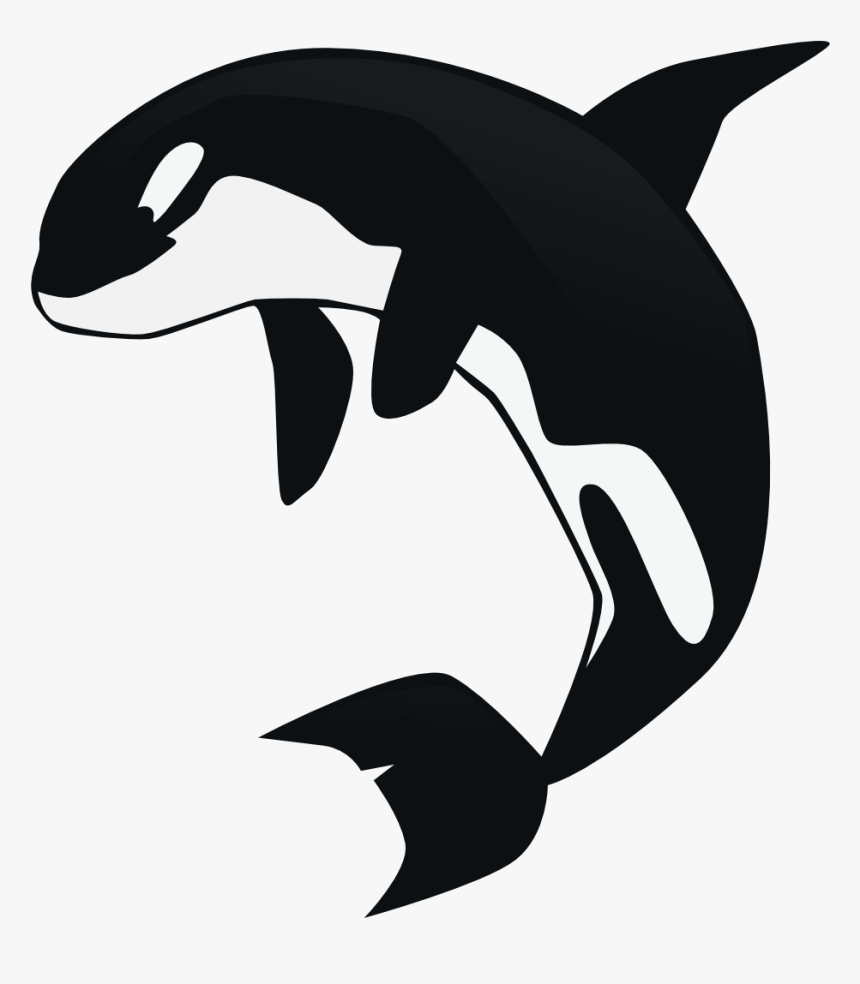 Orca Clipart Killer Whale - Killer Whale Clipart Transparent Background, HD Png Download, Free Download