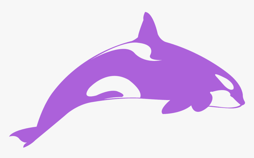 Sticker Orca Whale, HD Png Download, Free Download