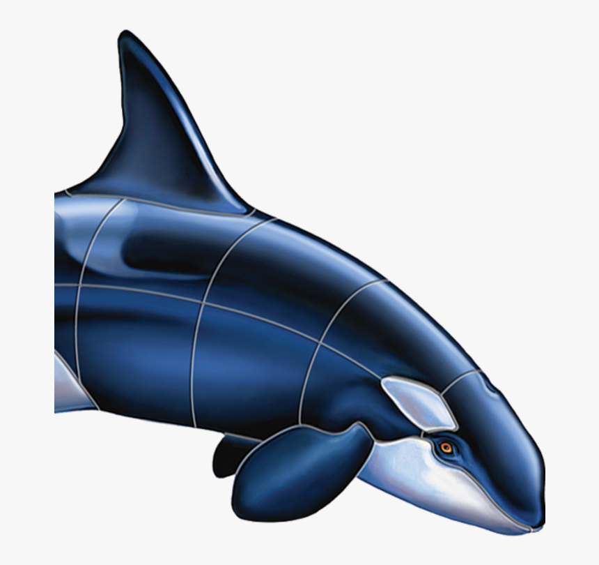 Killer Whale, HD Png Download, Free Download