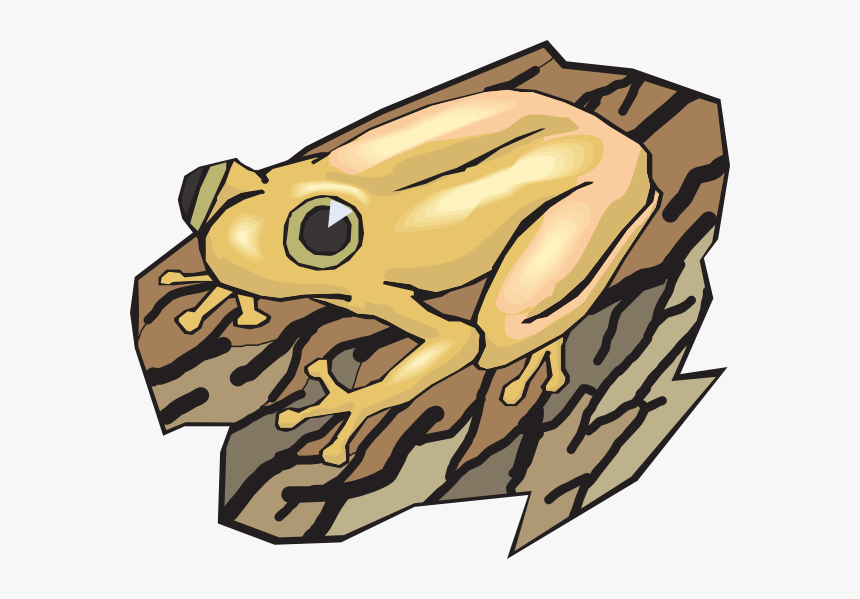 Transparent Frog Clipart Png - Wood Frog Clipart, Png Download, Free Download