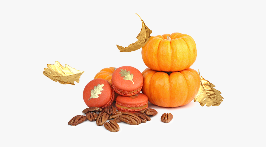 Pumpkin, HD Png Download, Free Download