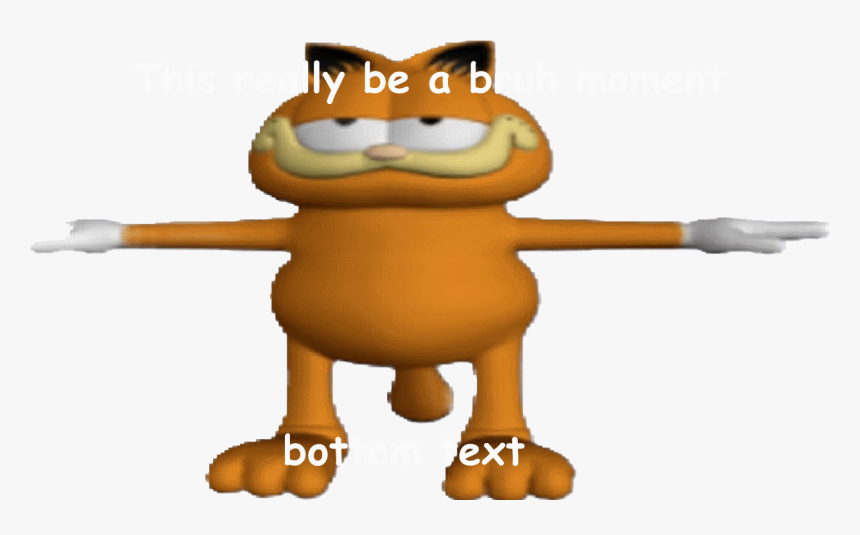 Garfield Cat T Pose, HD Png Download, Free Download