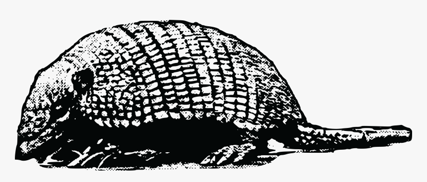 Armadillos, HD Png Download, Free Download